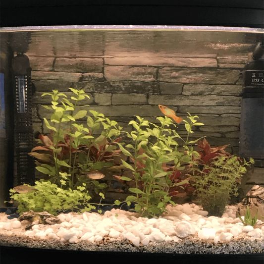 1,5 t/m 2 meter WARM WIT complete set aquarium led strip