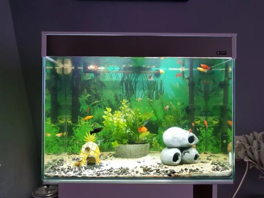 10 t/m 50 cm HELDER WIT complete set aquarium led strip