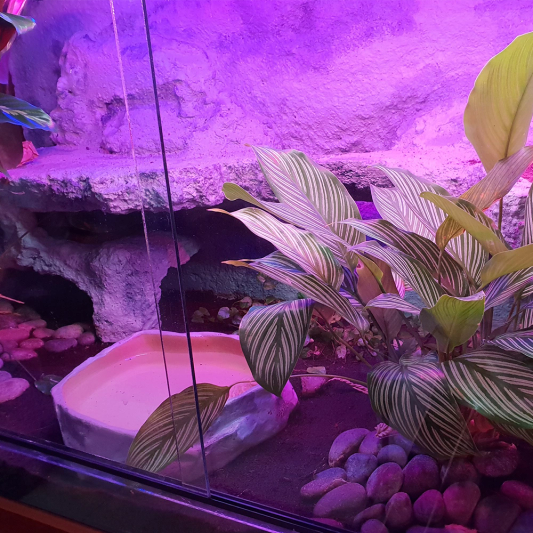 100 t/m 150 cm - RGB aquarium LED strip