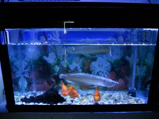 100 t/m 150 cm - RGB aquarium LED strip