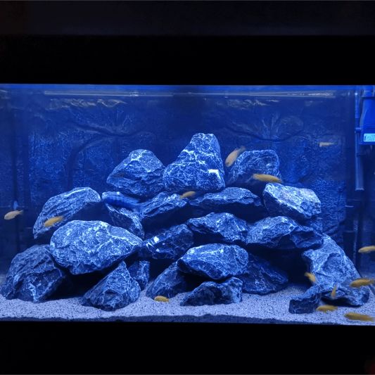 2,5 t/m 5 meter BLAUW complete set aquarium led strip