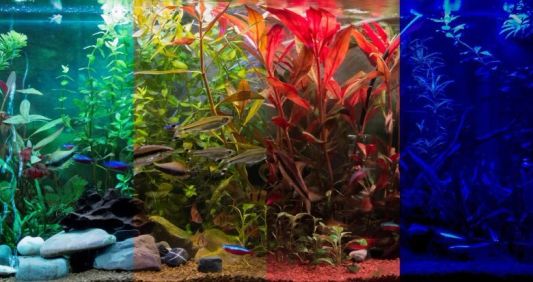 2 x enkele kleur ledstrip 10 t/m 50 cm - compleet