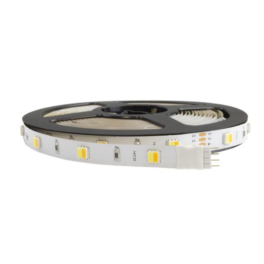 4 meter led strip DUAL WHITE Budget - 60 SMD leds pm - 24V IP65