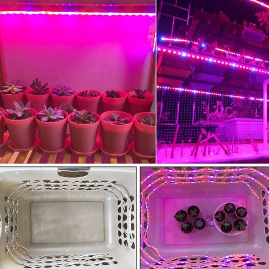 5 meter groei led strip IP20 24V - R:W:R:B=2:1:2:1 - 60 leds p/m