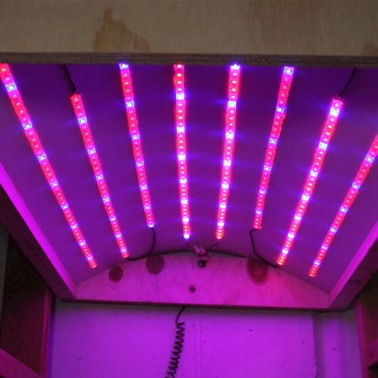 5 meter groei led strip IP20 24V - R:W:R:B=2:1:2:1 - 60 leds p/m