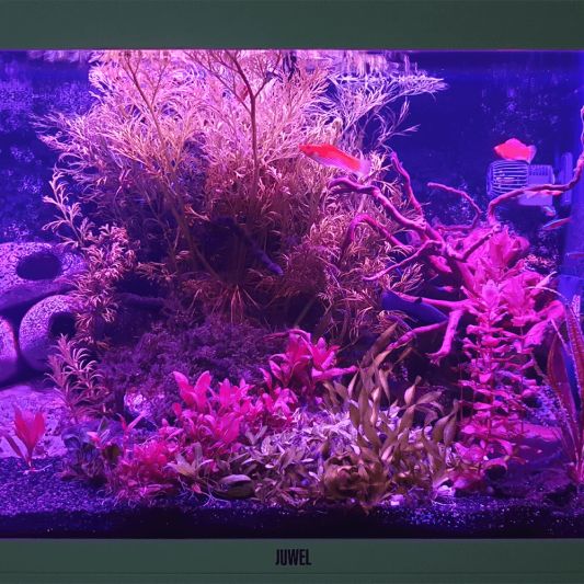 70 t/m 100 cm - RGB complete set aquarium led strip