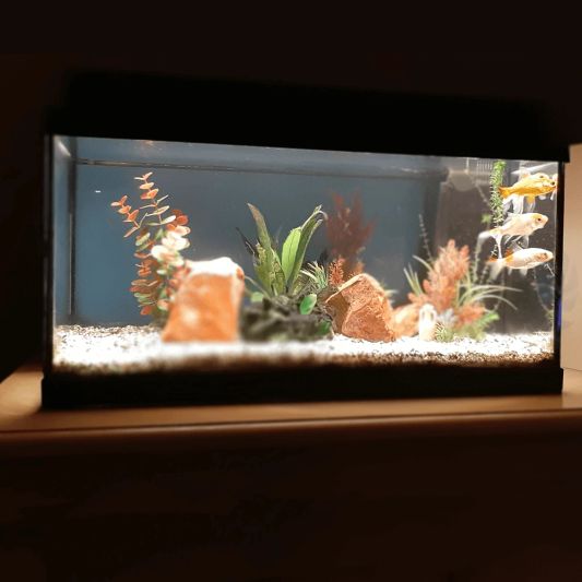 70 t/m 100 cm - WARM WIT complete set aquarium led strip