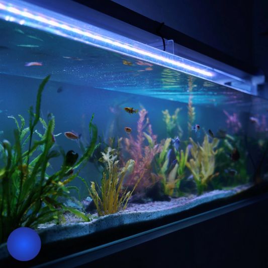 70 t/m 100 cm aquarium LED strip Blauw