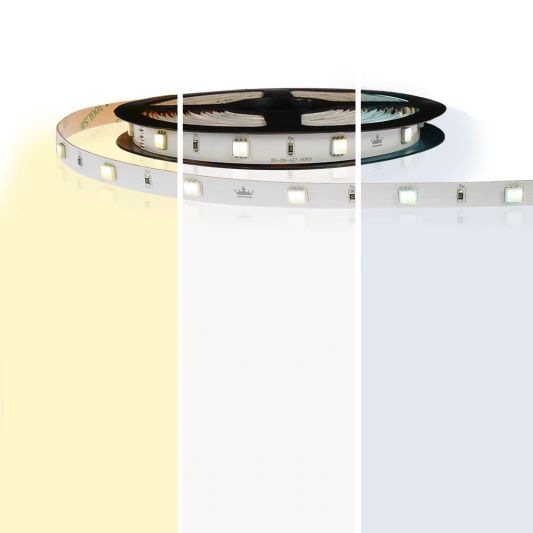 8 meter led strip DUAL WHITE Budget - 60 SMD leds pm - 24V IP65