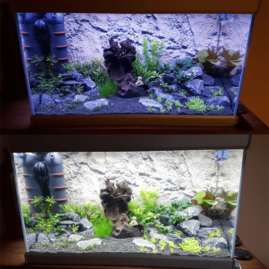 RGB led strip + enkele kleur strip: 70 - 100 cm complete set