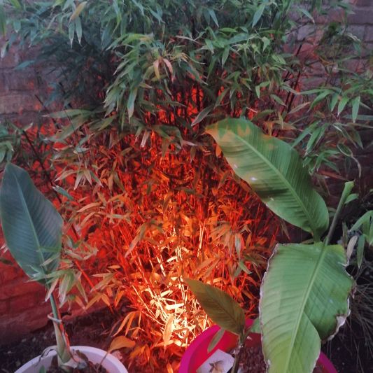 Wifi LED Tuinspot met RGBWW kleuren 9 watt