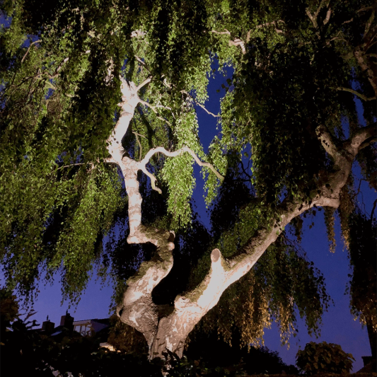 Wifi led tuinspot set RGBWW mét Wifi module 6 watt