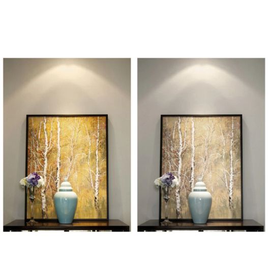 Zigbee 3.0 LED downlight Pro RGBWW inbouwspot - 6 Watt