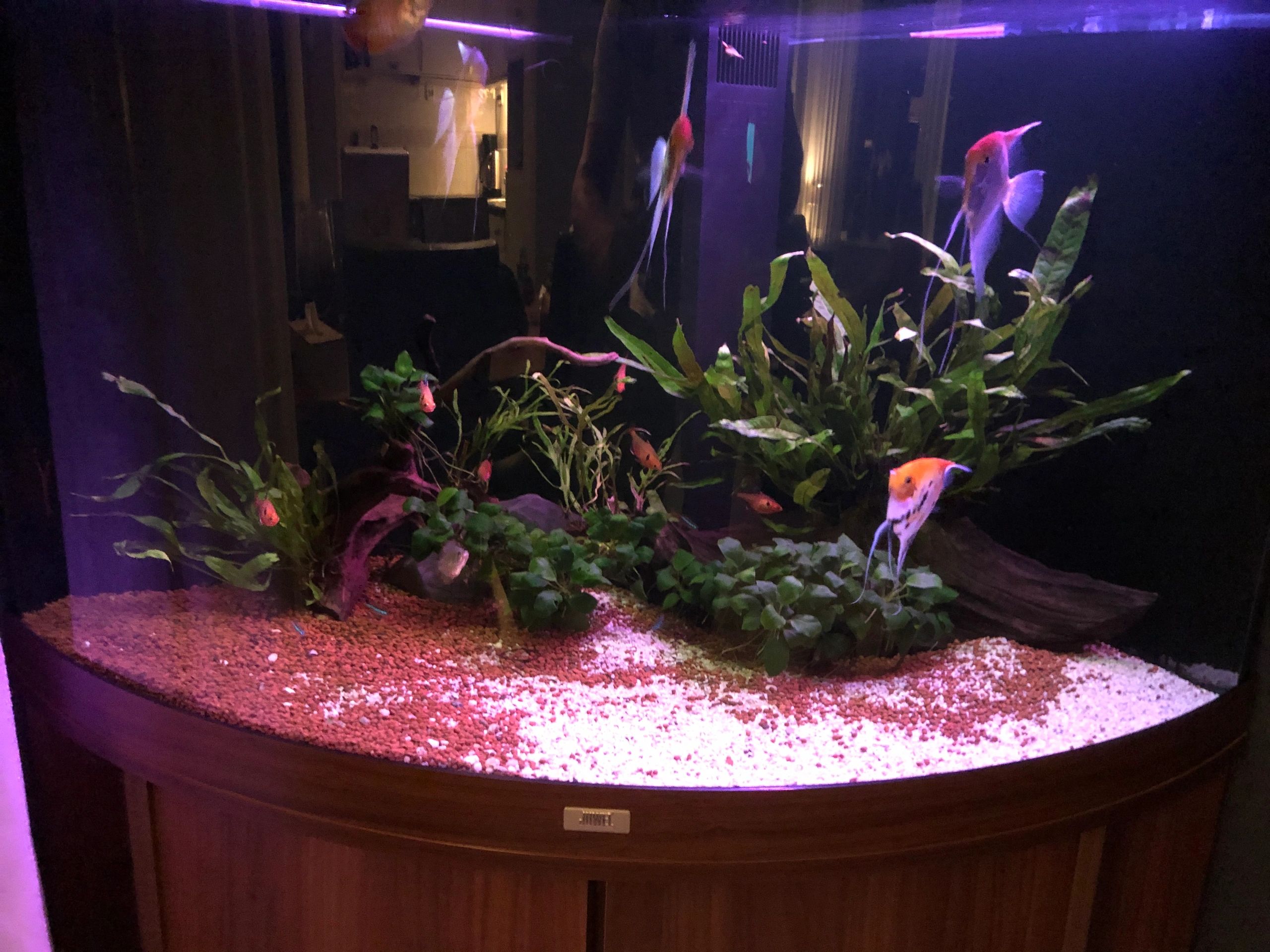 RGB led strip enkele kleur strip - 10 t/m 50 cm complete set