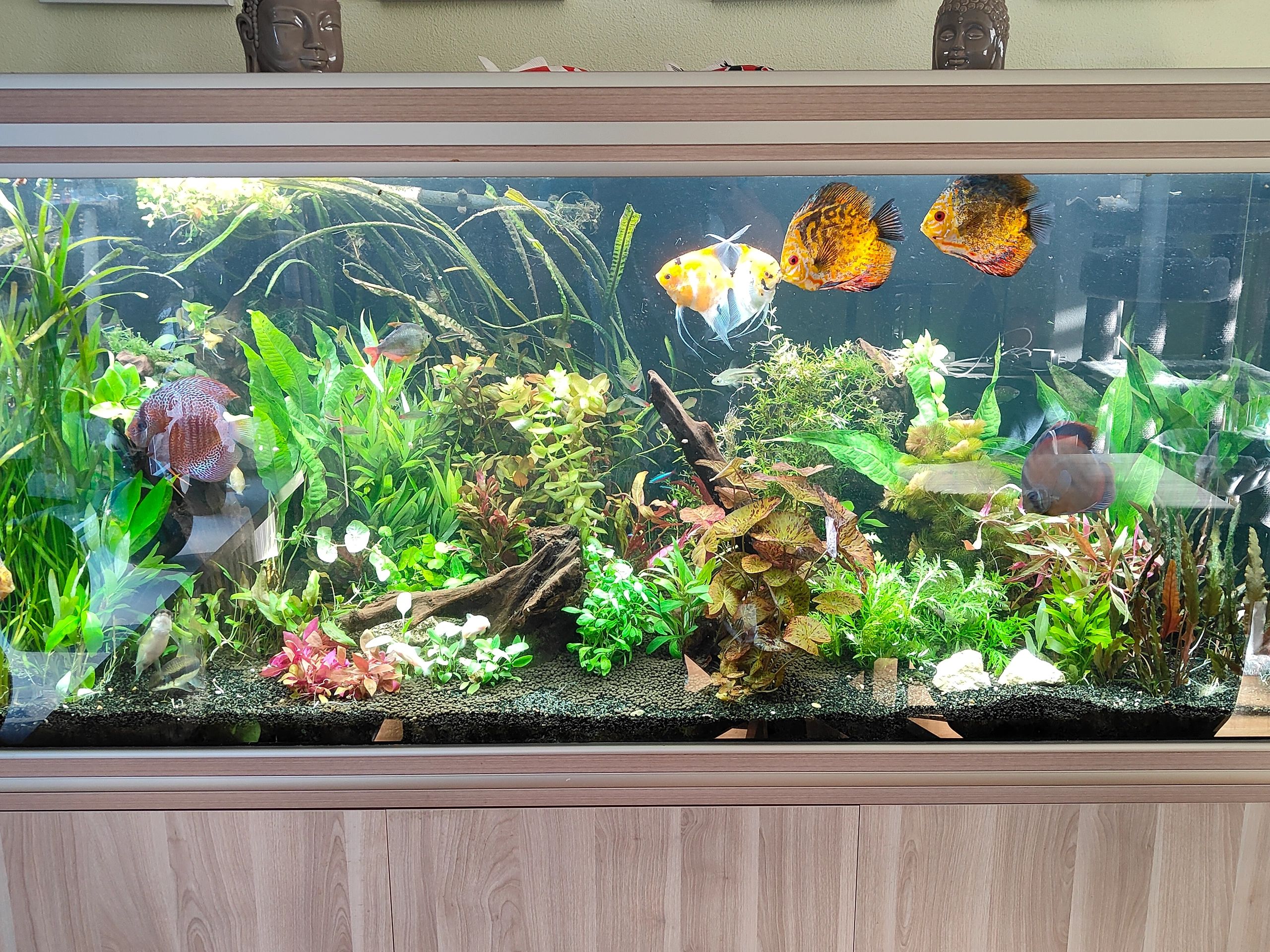 Time Controller set 'Advanced' < 100cm