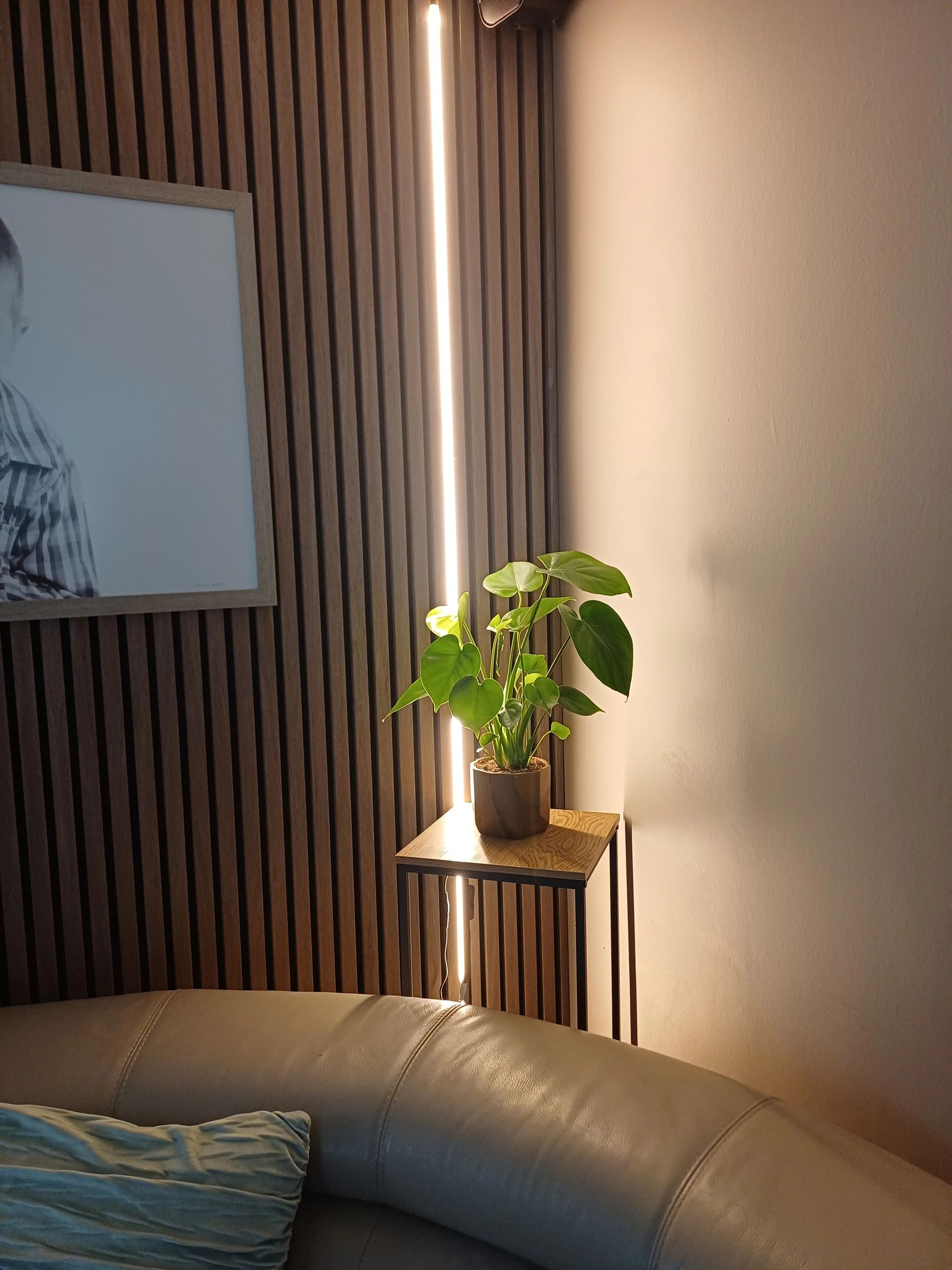 5 meter LED flex Warm Wit Midi Top View - complete set verlichting