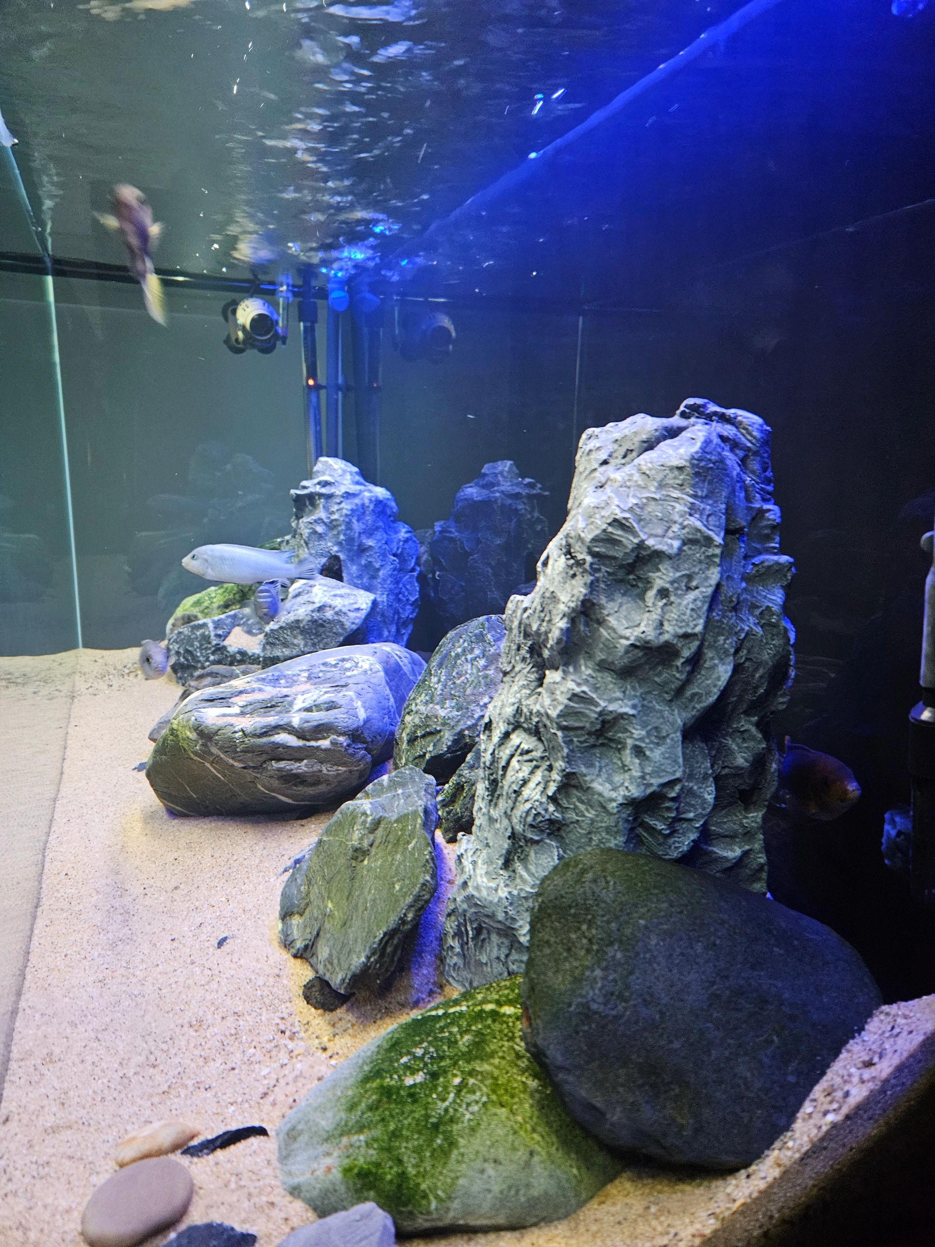 2 t/m 2,5 meter aquarium LED strip Koud Wit