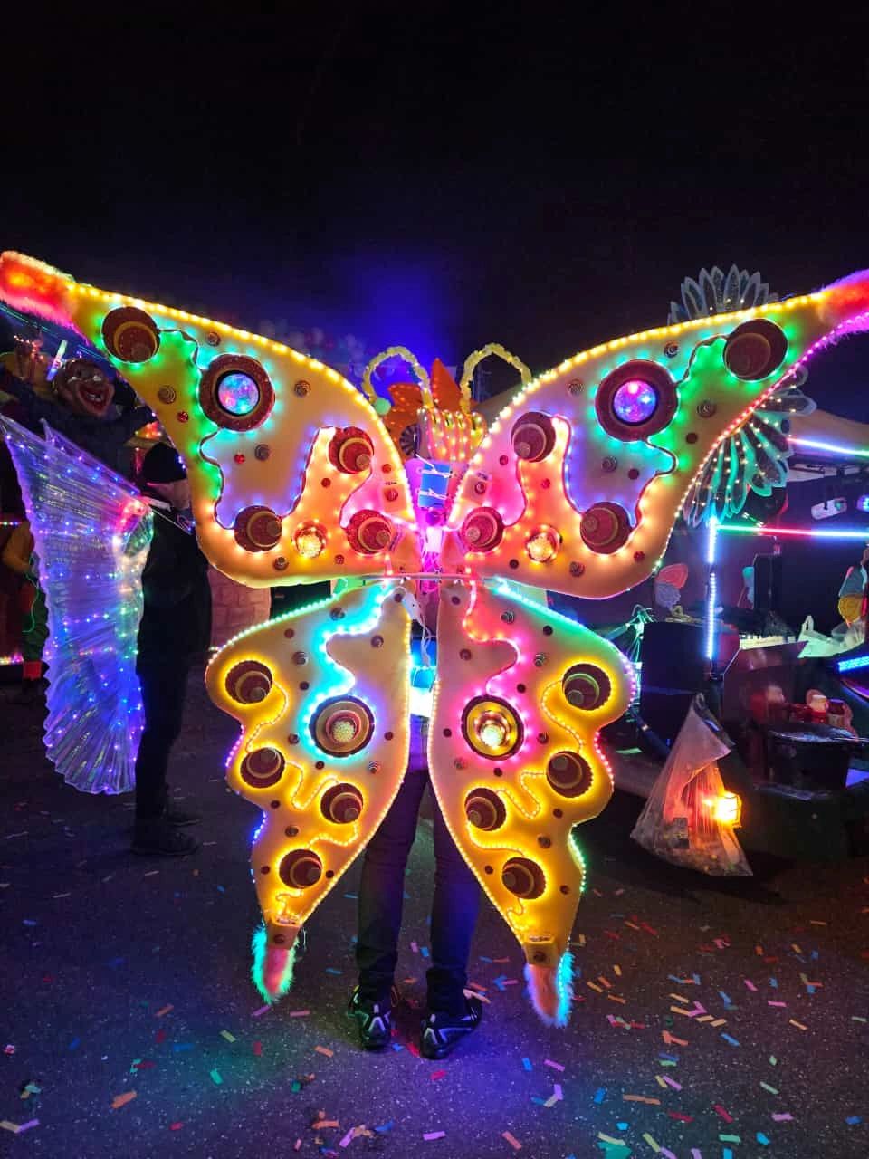 Led strip accu/batterij 24V met oplader