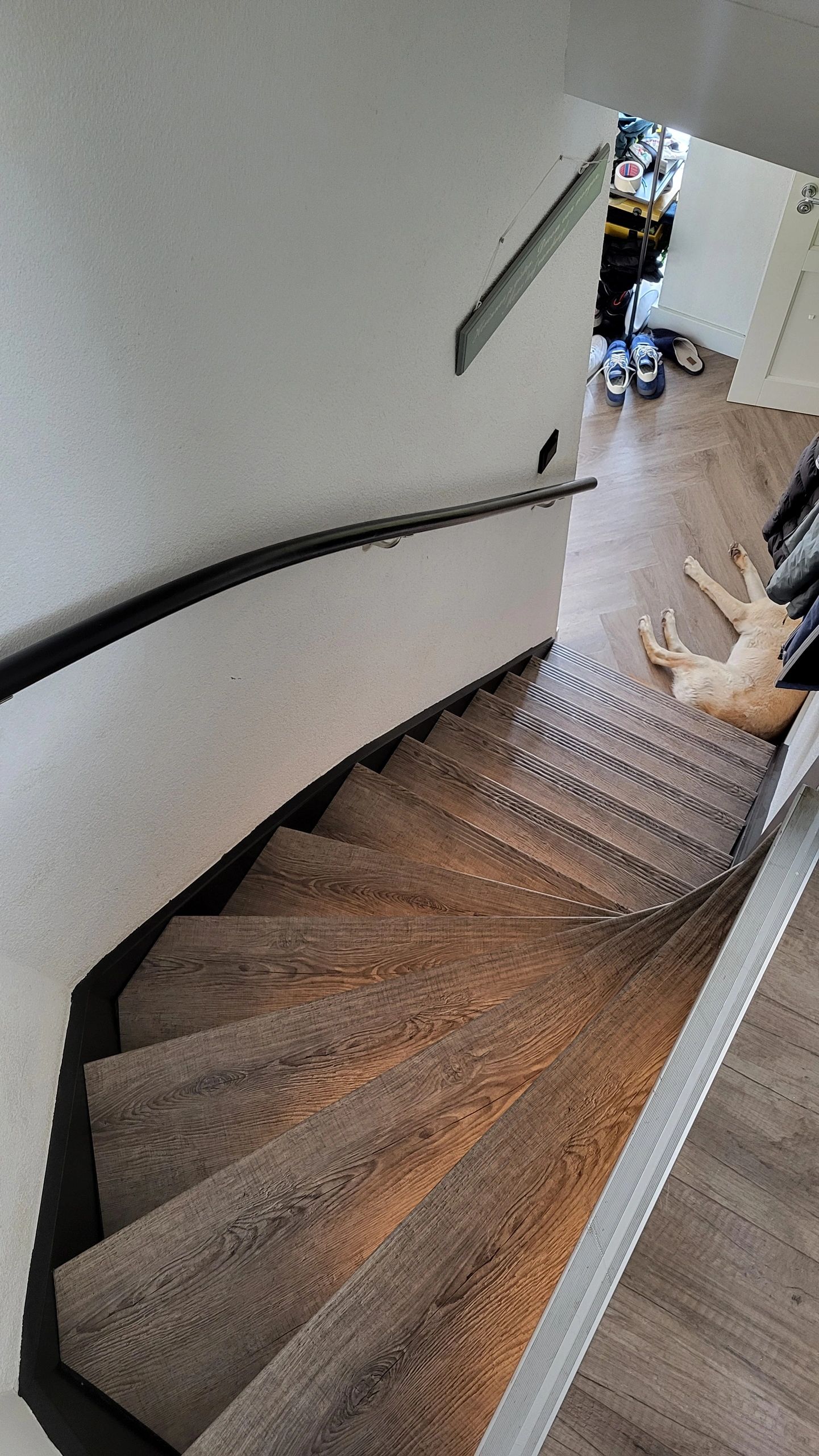 Dynamische trapverlichting set Premium 50 cm met profiel