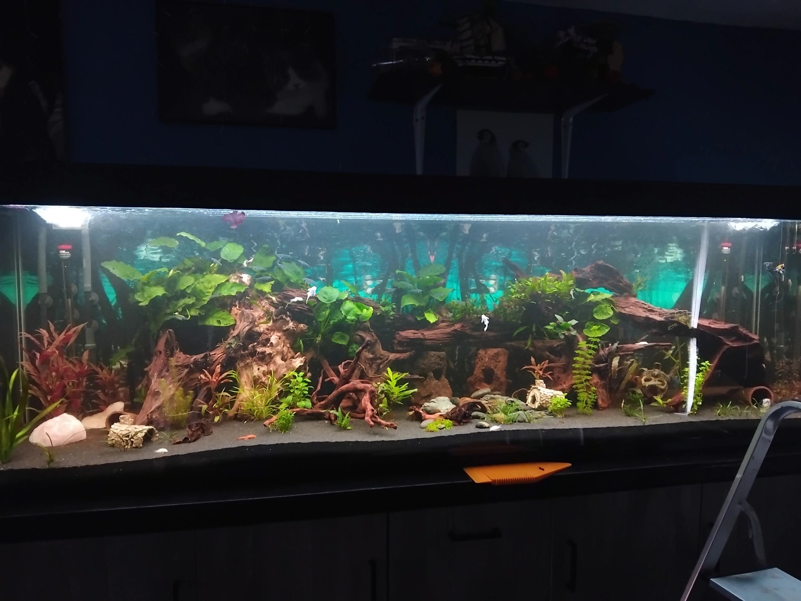 2 t/m 2,5 meter aquarium LED strip Koud Wit
