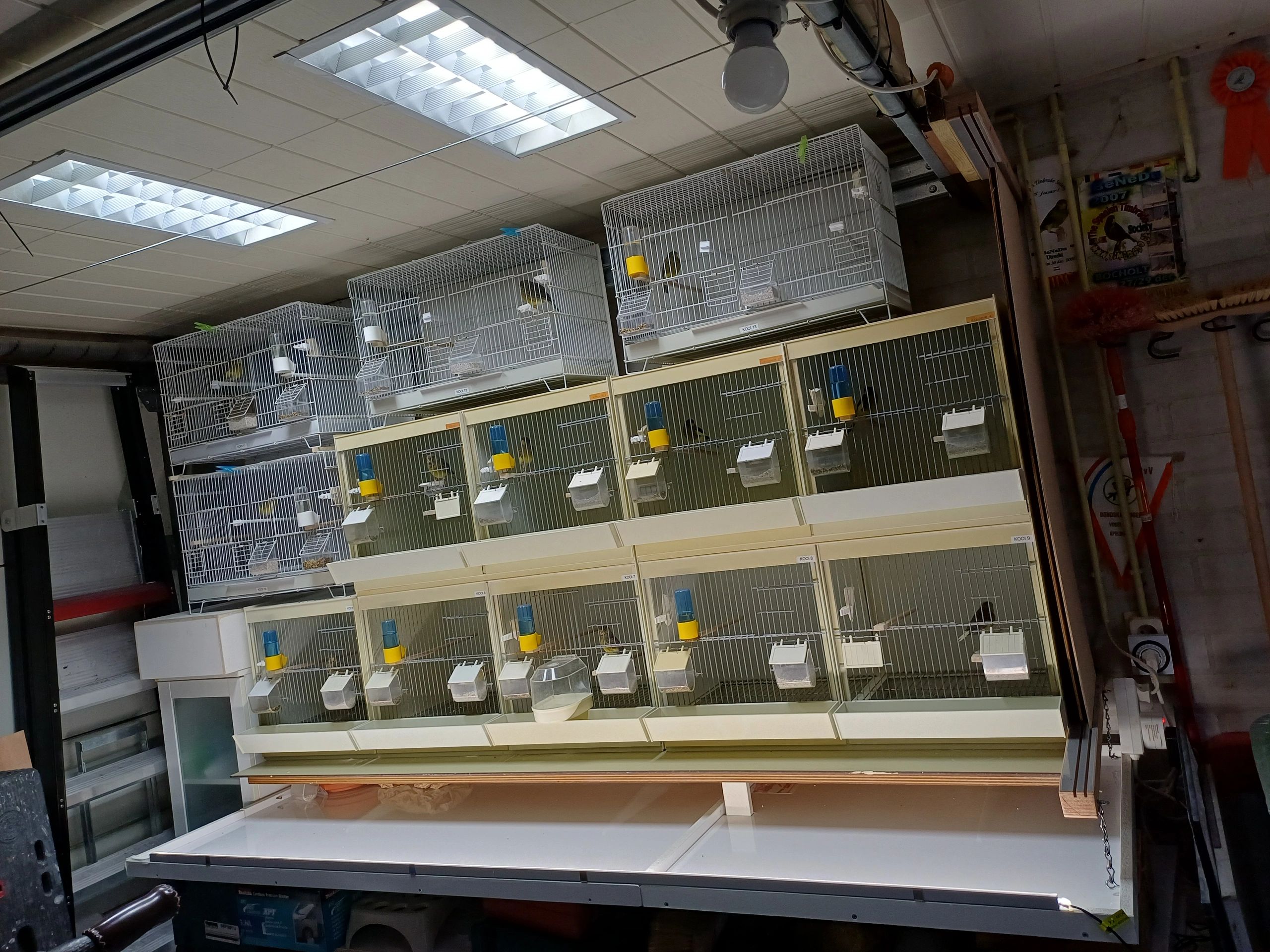 1 meter led strip Daglicht wit - 120 leds