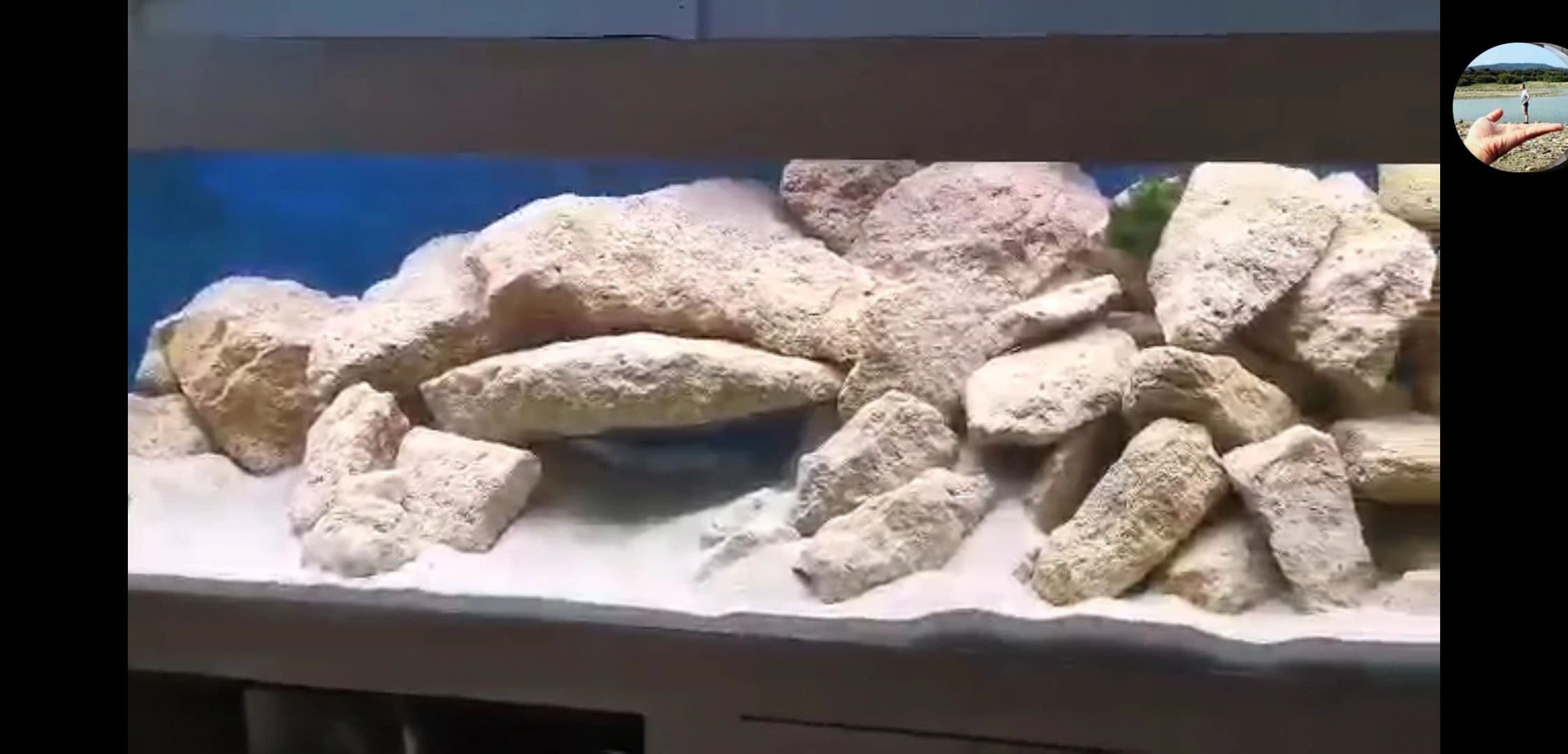 5 meter Dual White led strip Premium met 600 leds - losse strip