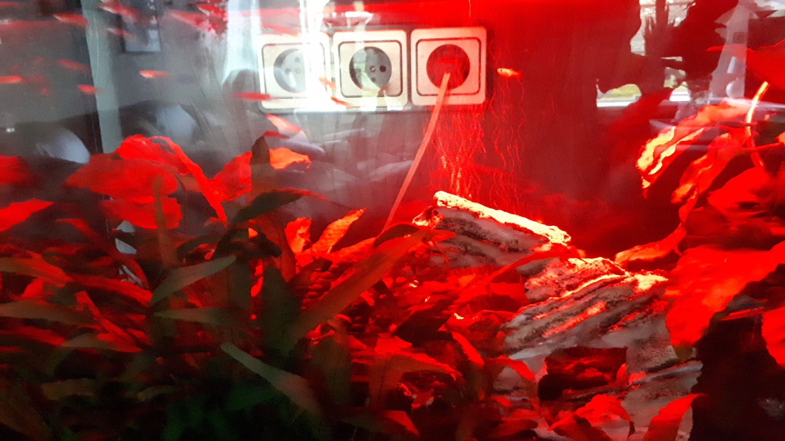 RGB led strip enkele kleur strip - 10 t/m 50 cm complete set
