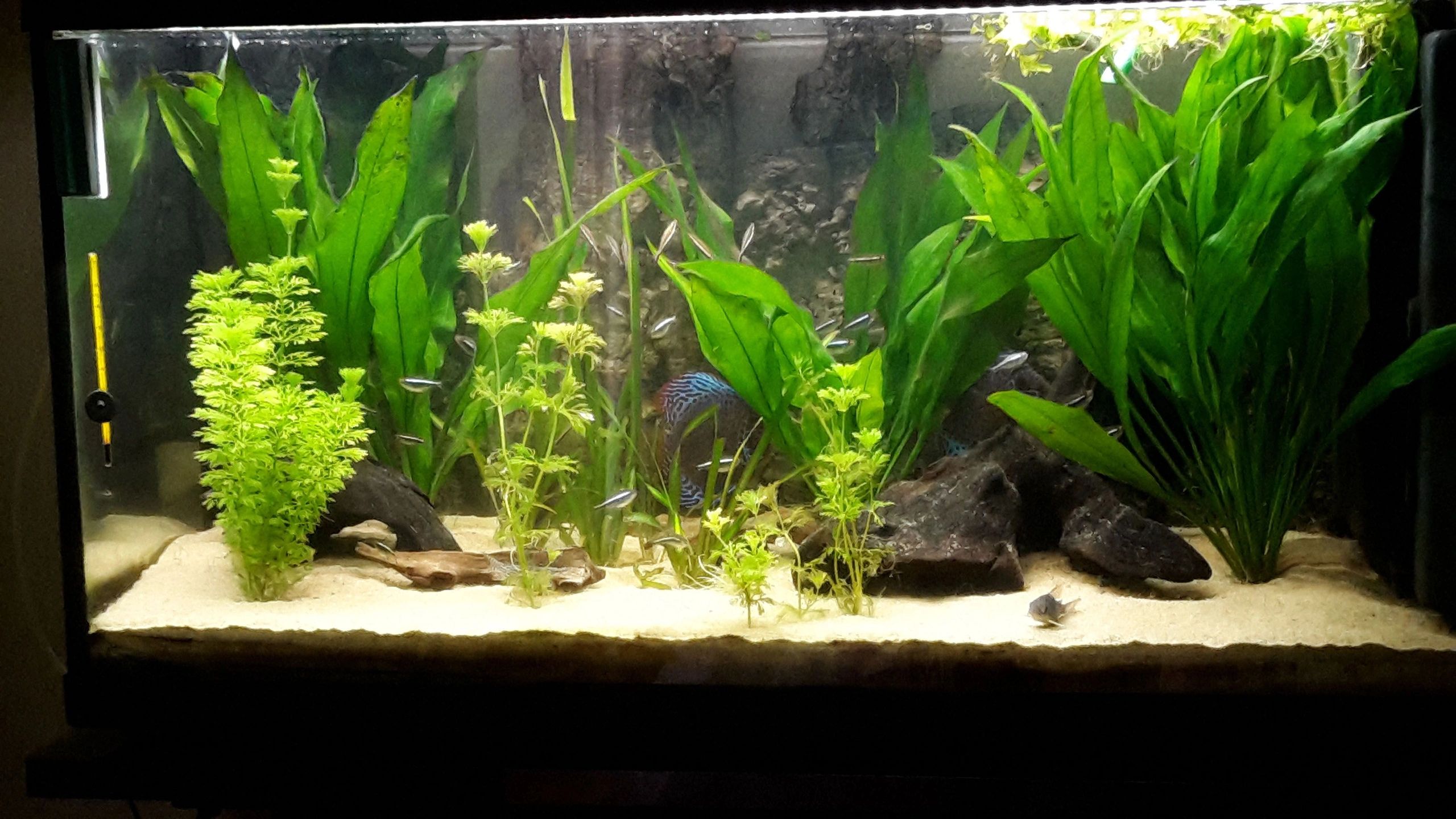 100 t/m 150 cm - RGB aquarium LED strip