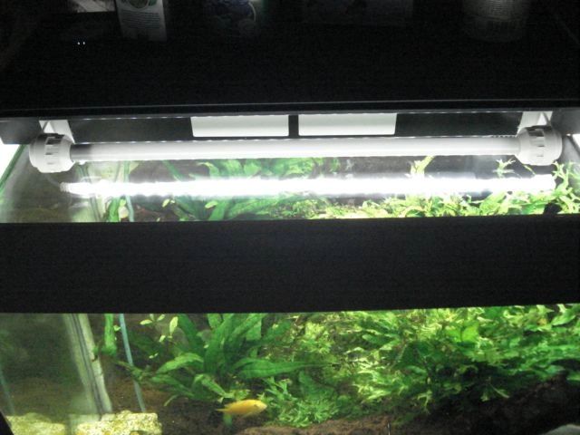 50 t/m 70 cm HELDER WIT complete set aquarium led strip