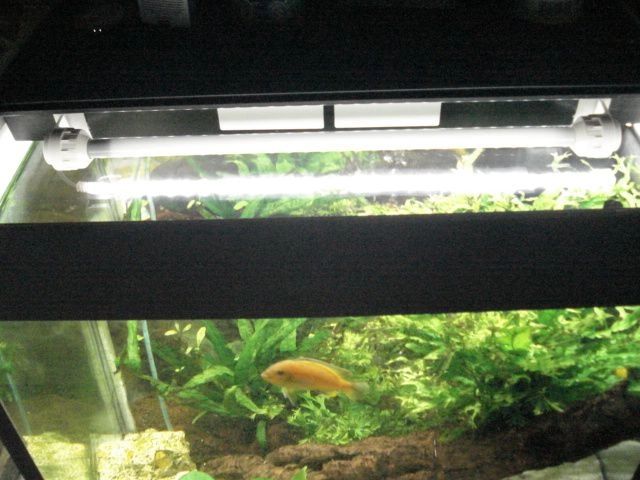 50 t/m 70 cm HELDER WIT complete set aquarium led strip