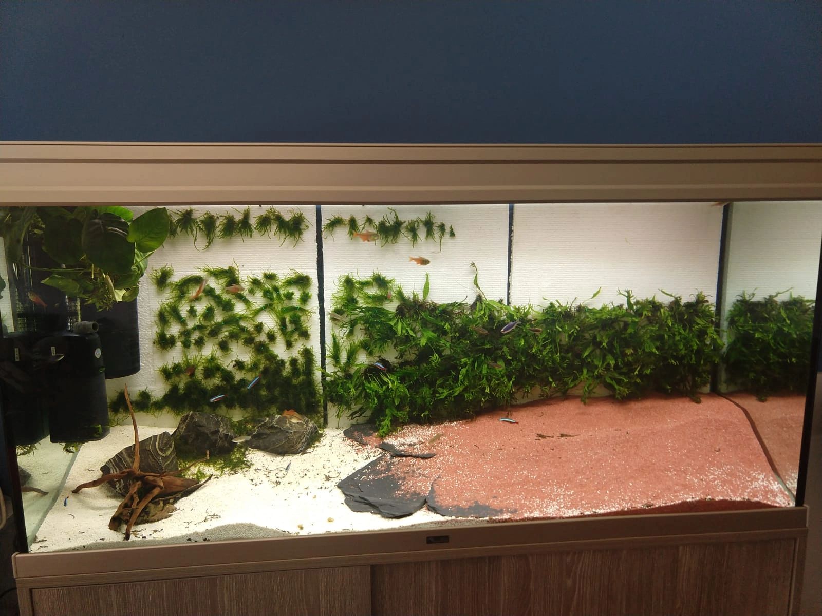 RGB led strip + 2x enkele kleur strip: 150 - 200 cm complete set