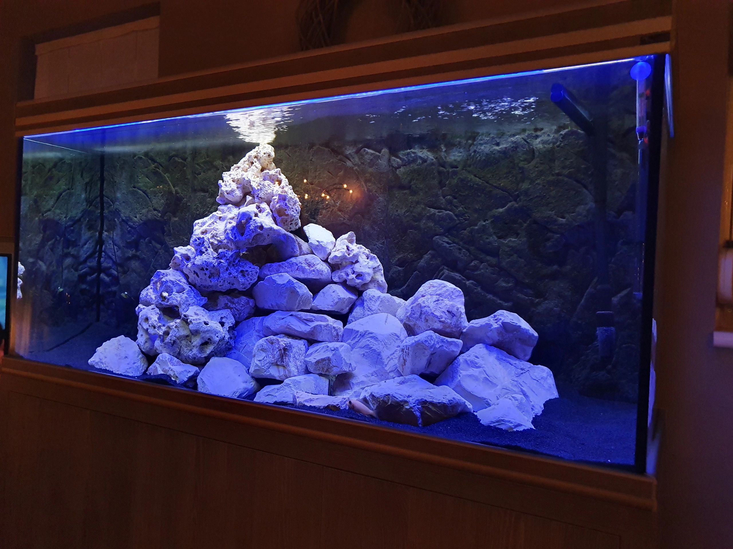 70 t/m 100 cm BLAUW complete set aquarium led strip