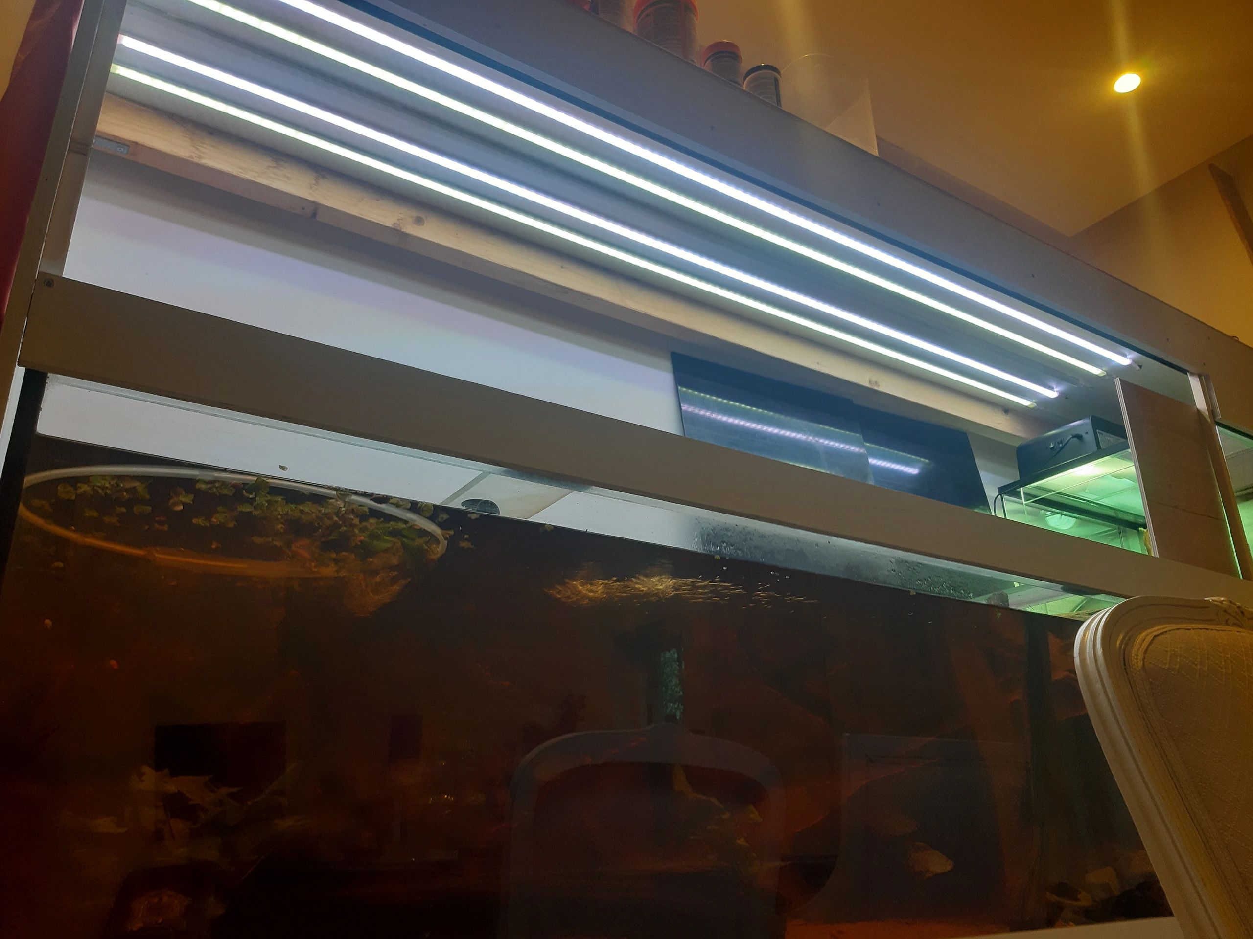 8 meter - 480 LEDS - RGB led strip