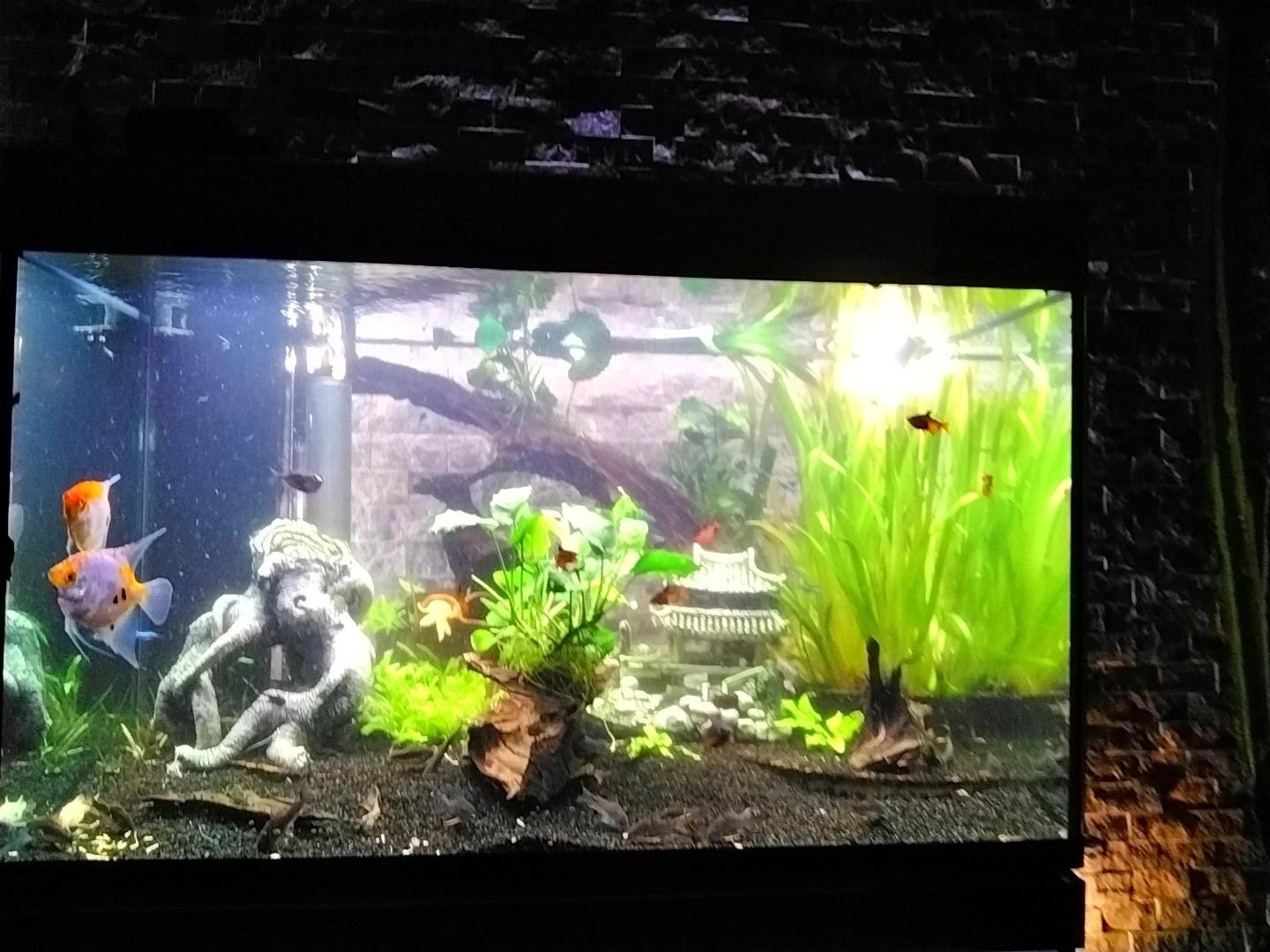 10 meter LED flex Dual White Midi Top View - complete set verlichting