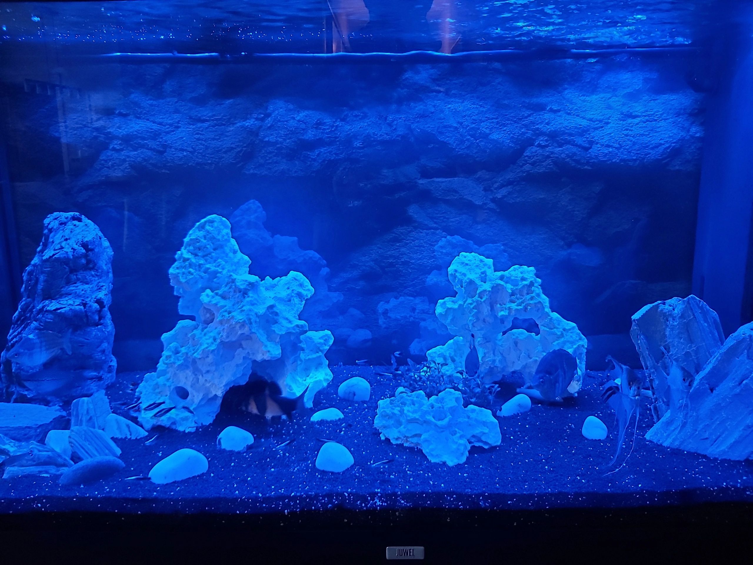 70 t/m 100 cm BLAUW complete set aquarium led strip