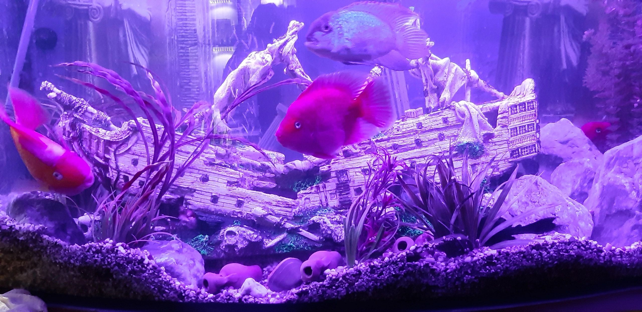 2 x RGB led strip: 100 - 150 cm complete set