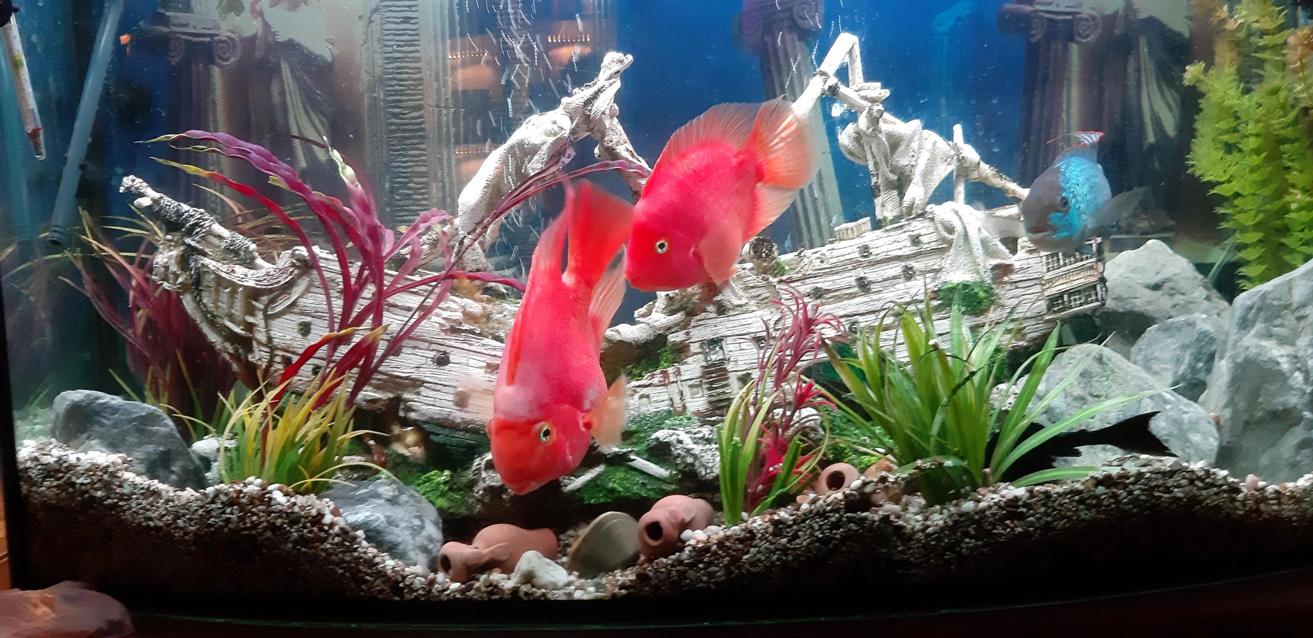 2 x RGB led strip: 100 - 150 cm complete set