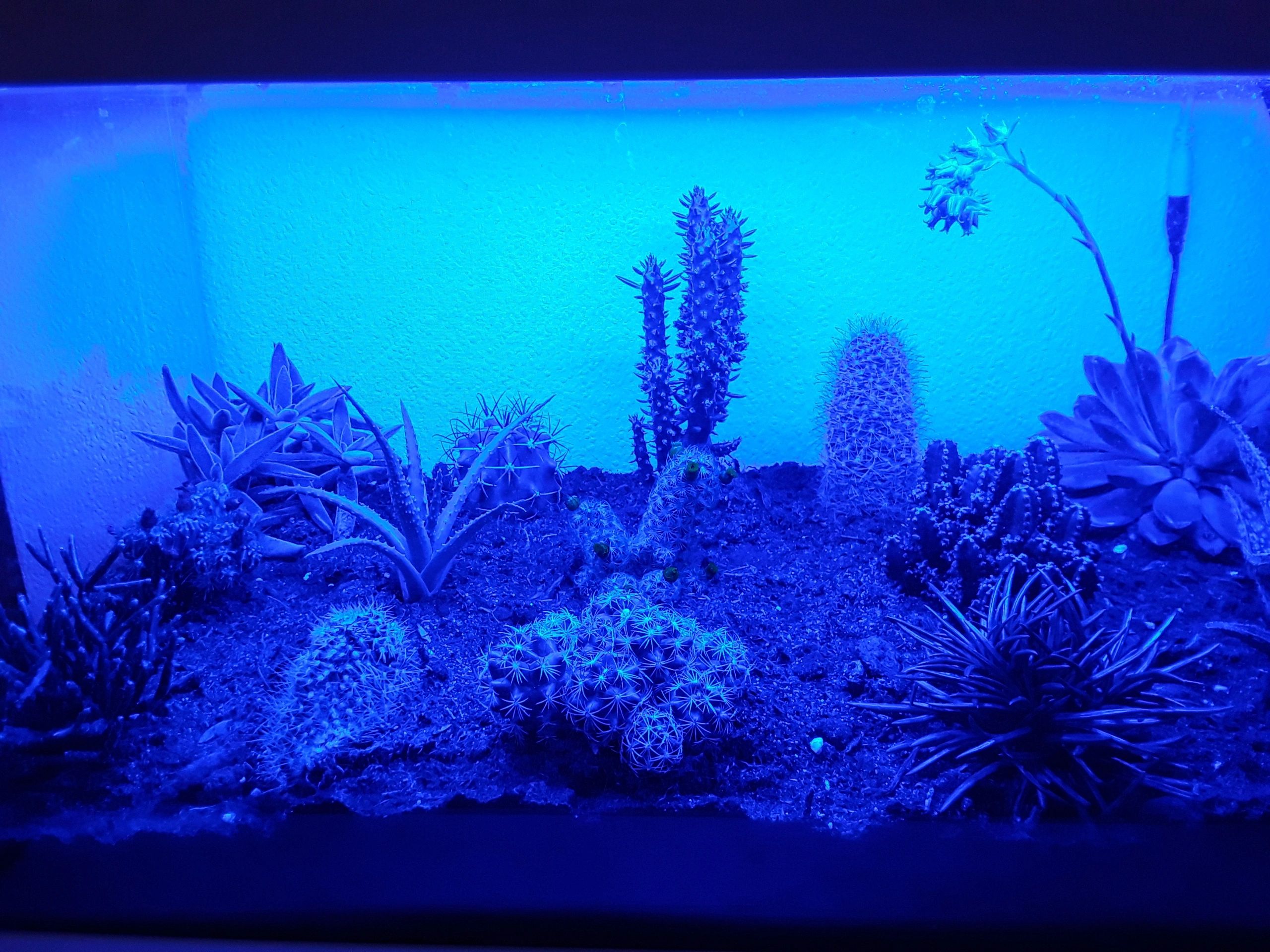 70 t/m 100 cm BLAUW complete set aquarium led strip