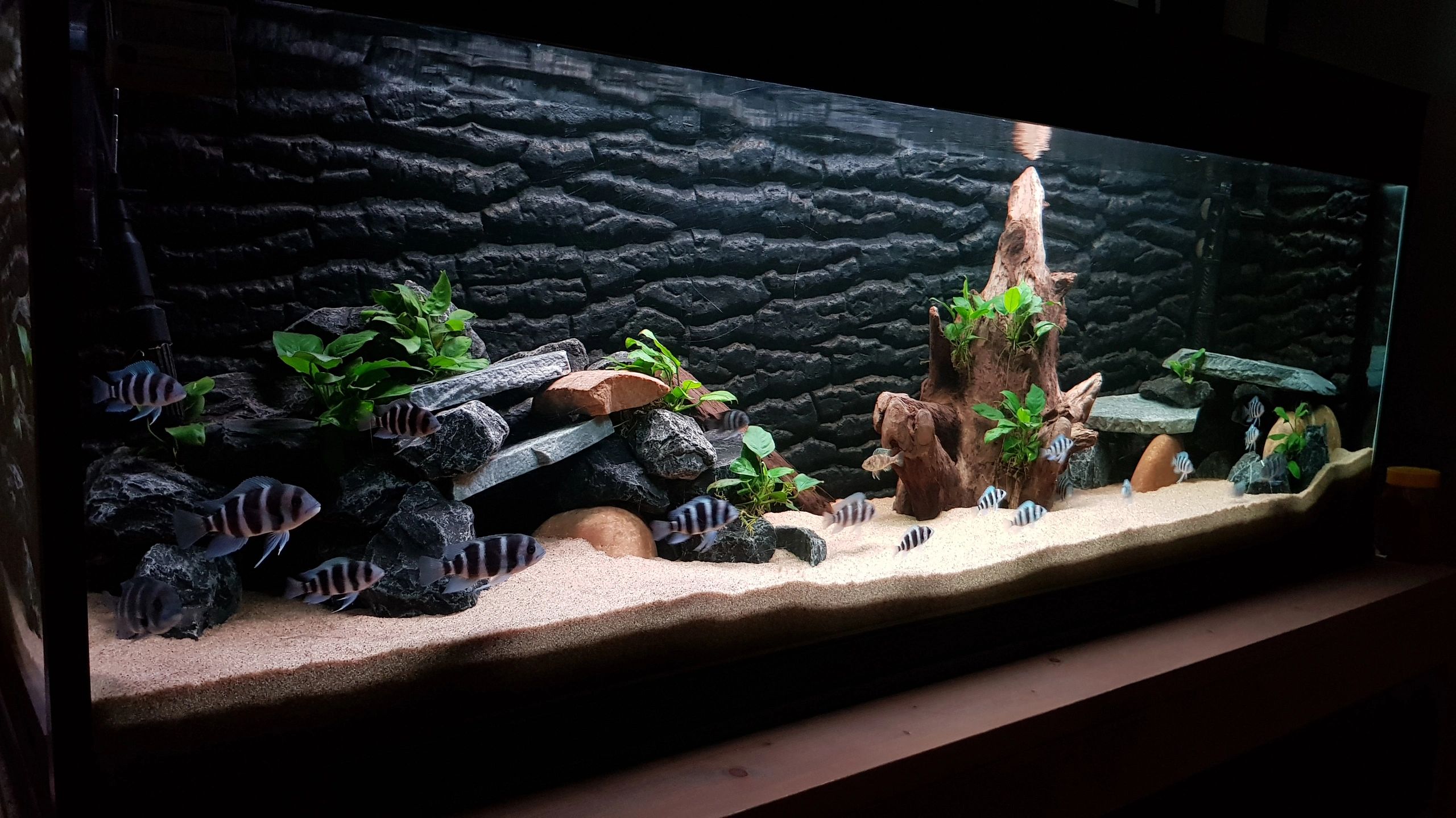 50 t/m 70 cm HELDER WIT complete set aquarium led strip