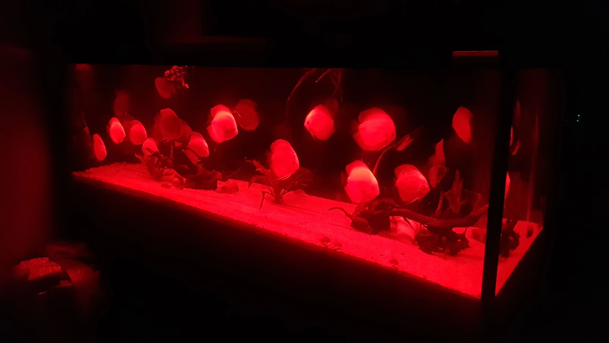 100 t/m 150 cm - RGB aquarium LED strip