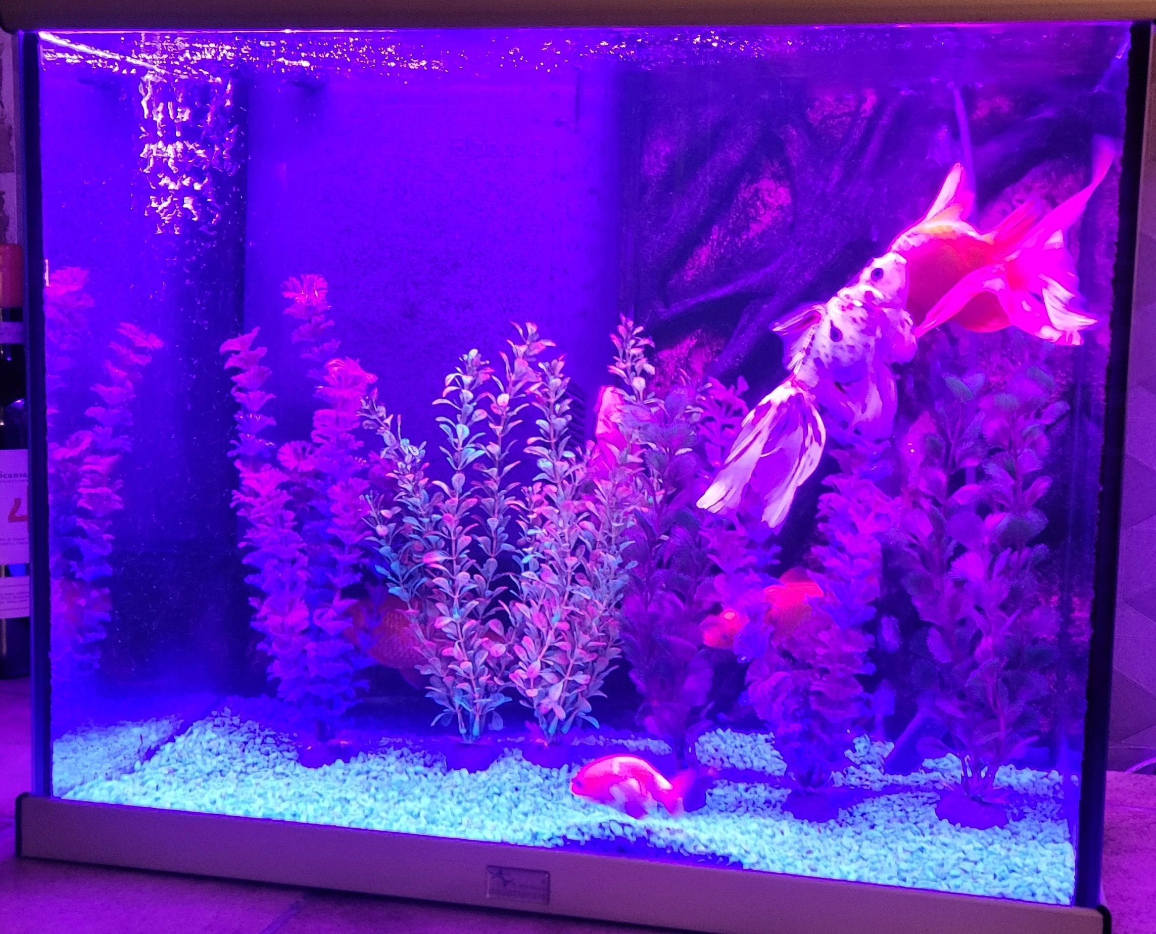 2 x RGB led strip: 100 - 150 cm complete set