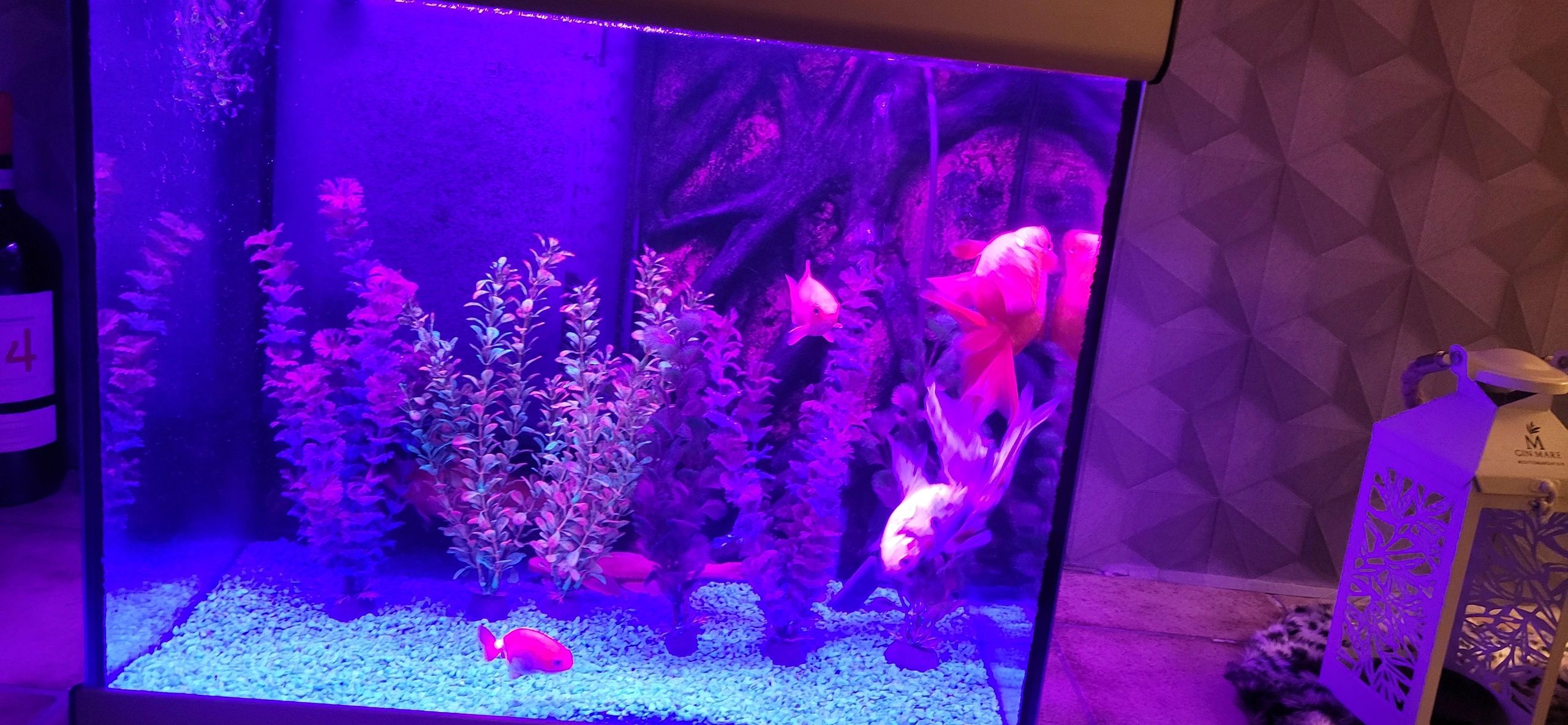 2 x RGB led strip: 100 - 150 cm complete set