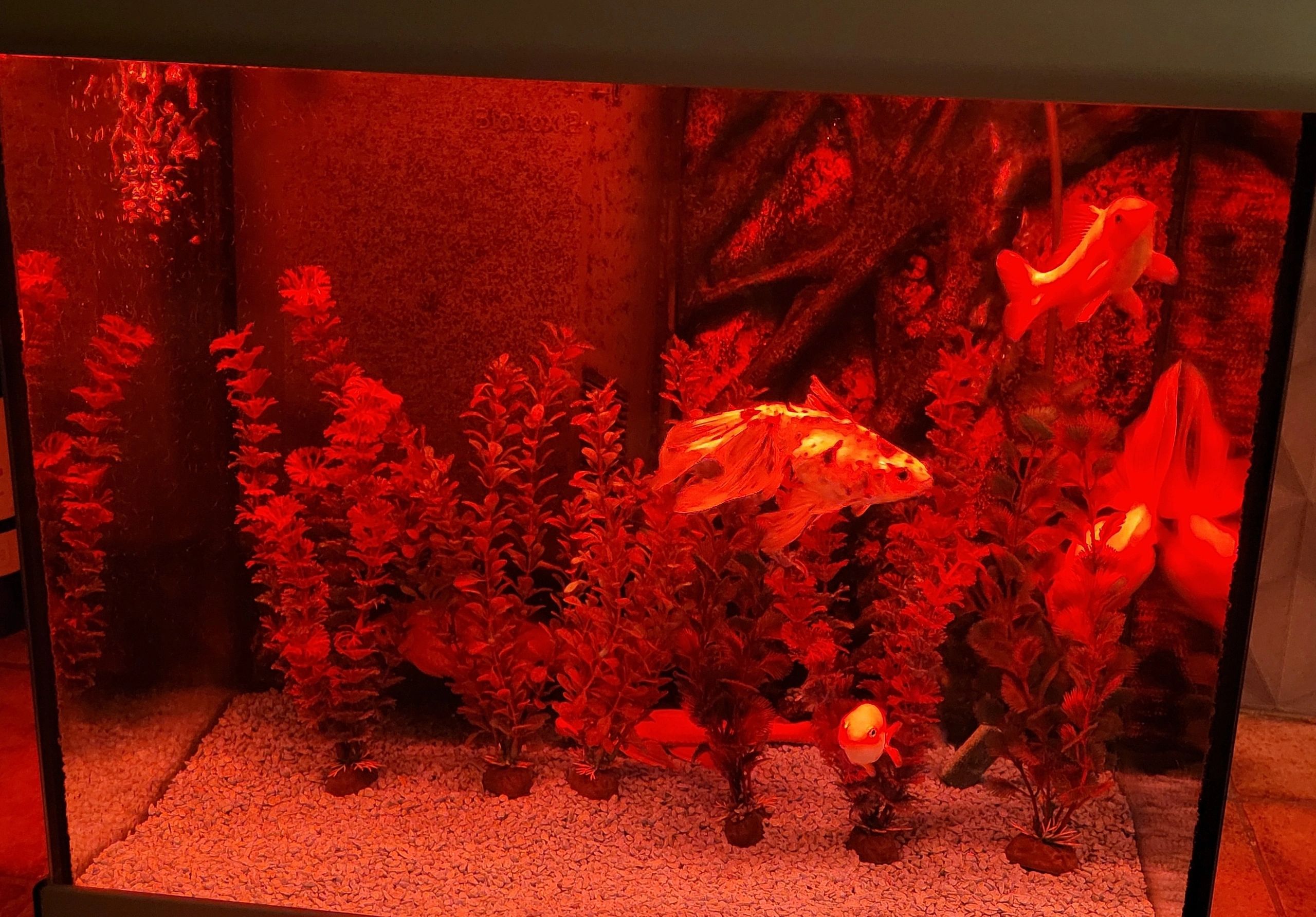 2 x RGB led strip: 100 - 150 cm complete set