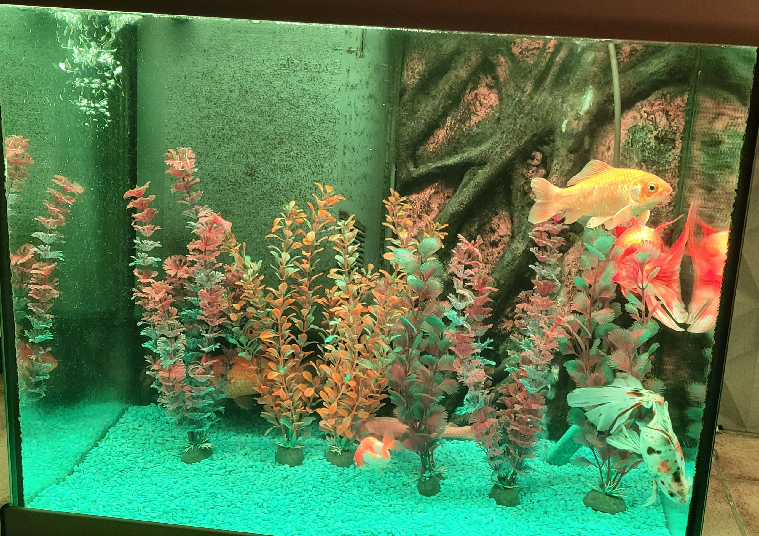 2 x RGB led strip: 100 - 150 cm complete set