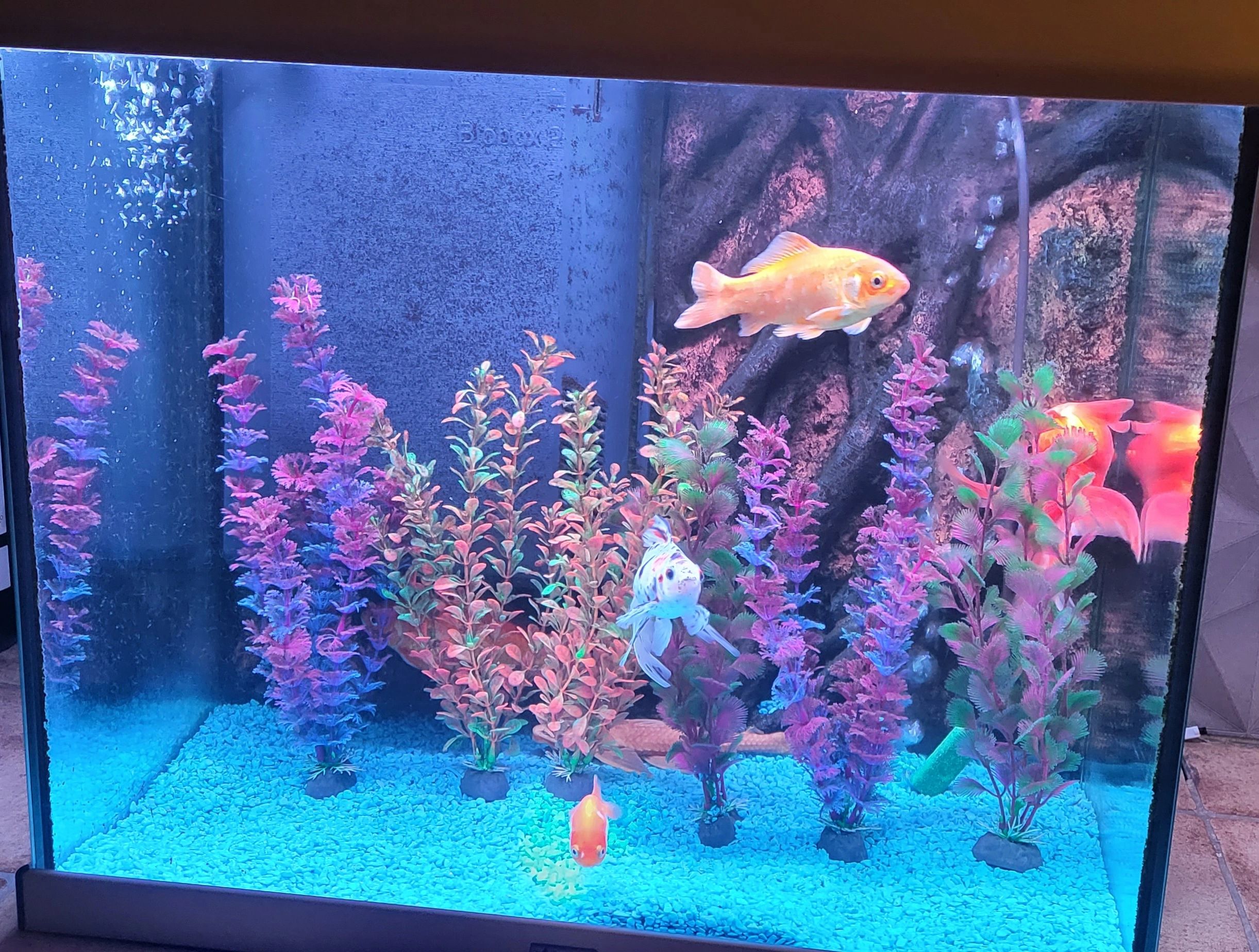 2 x RGB led strip: 100 - 150 cm complete set