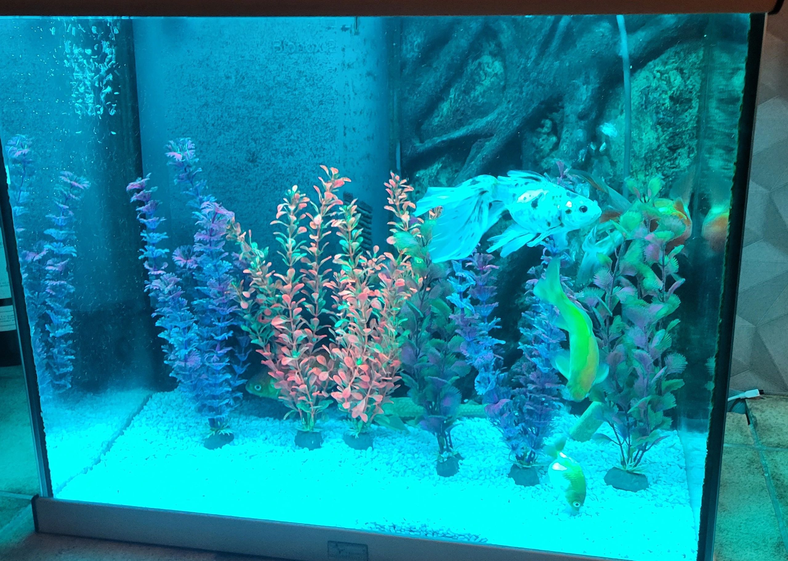 2 x RGB led strip: 100 - 150 cm complete set