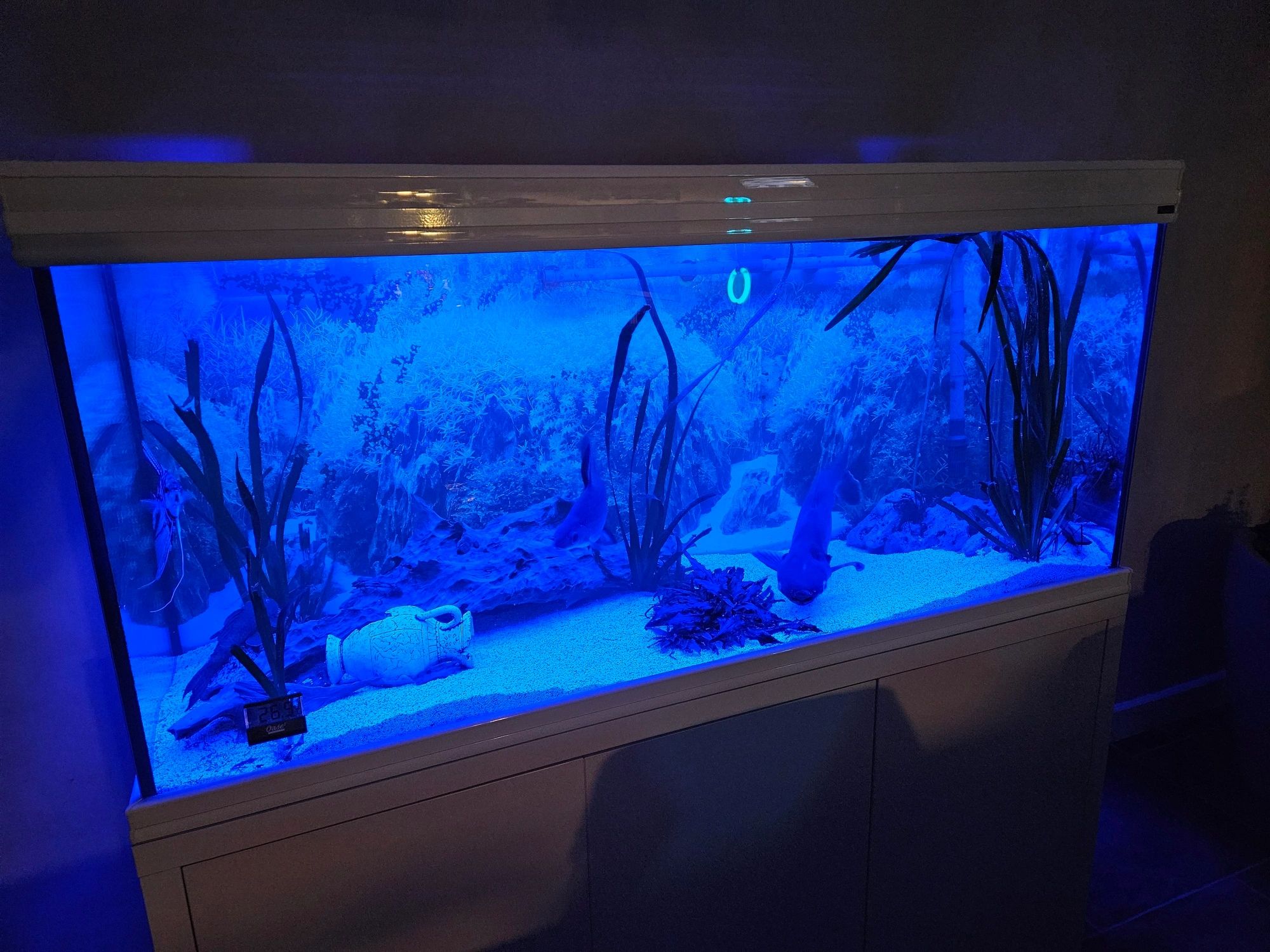 3 x RGB led strip - 10 t/m 50 cm complete set