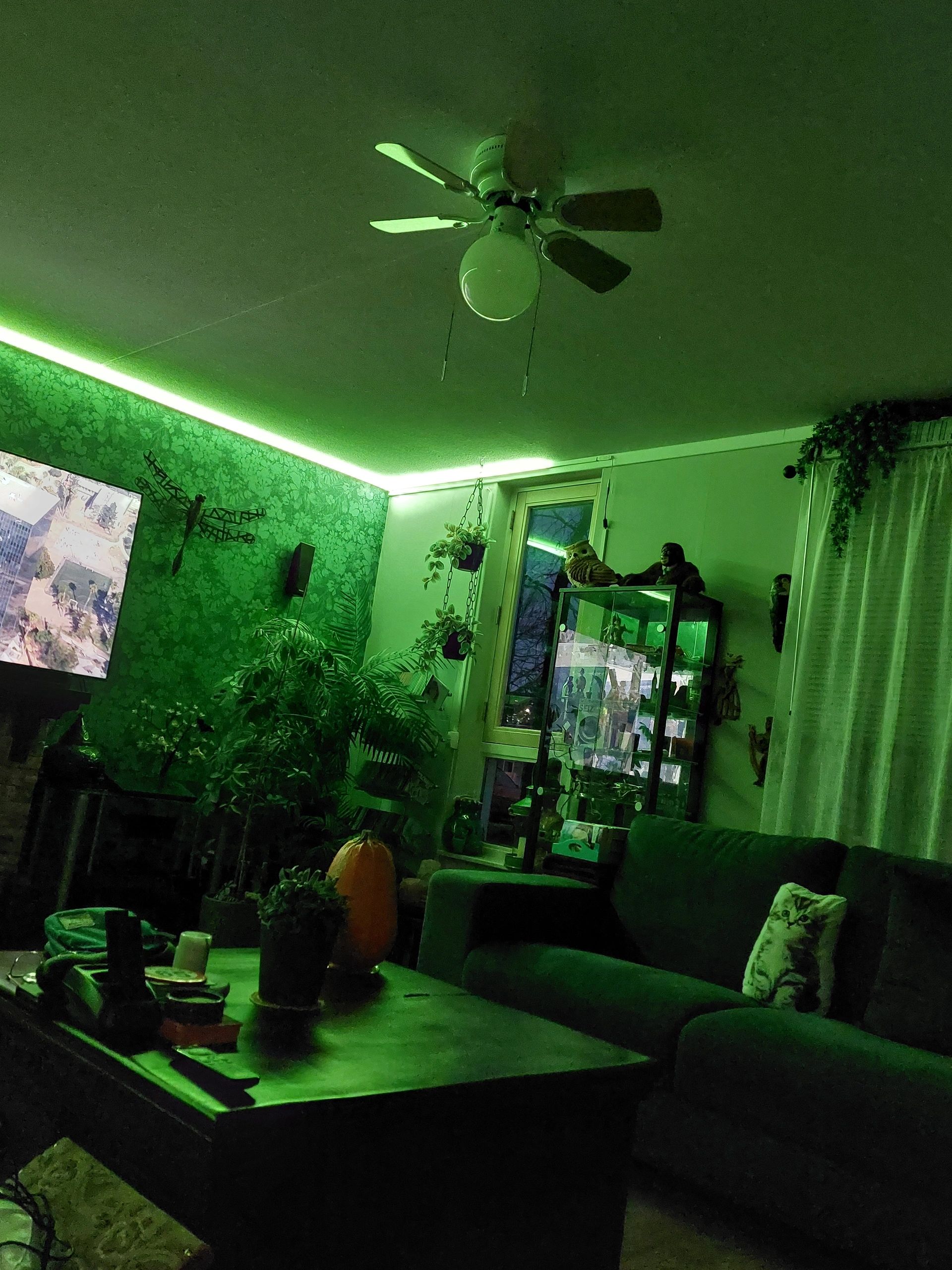 9 meter RGBWW led strip prime met 840 leds p/m - complete set