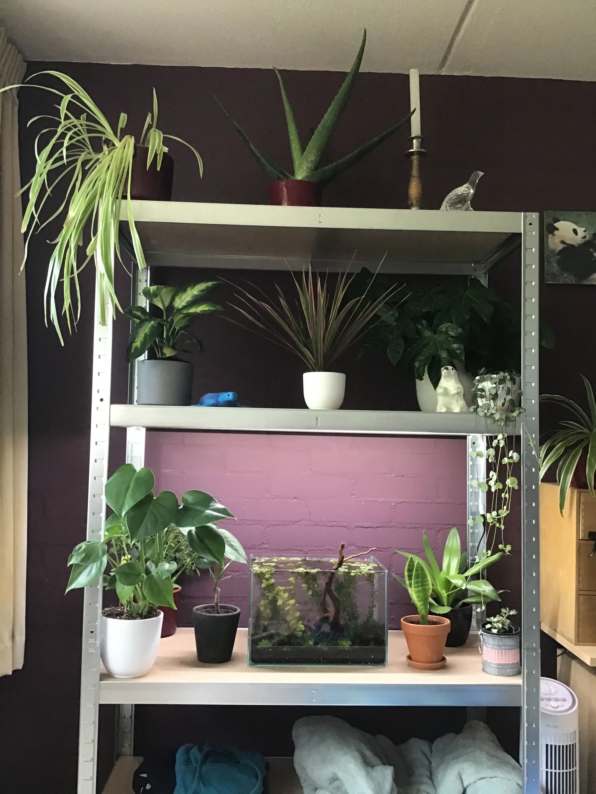 50 t/m 70 cm HELDER WIT complete set aquarium led strip