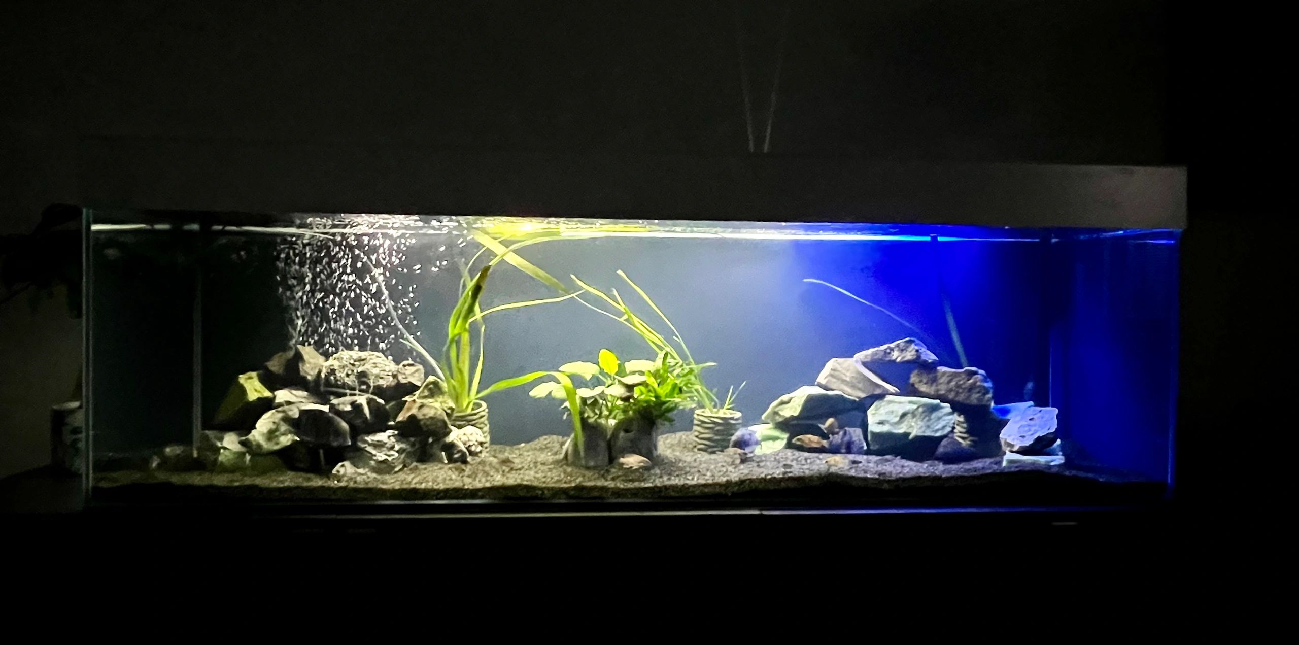 Ledstrip profiel opbouw Breed model - compleet met ronde afdekkap 1,5 meter